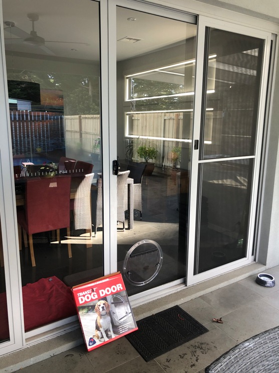 Medium Dog Door installed in glass window in Fingal.